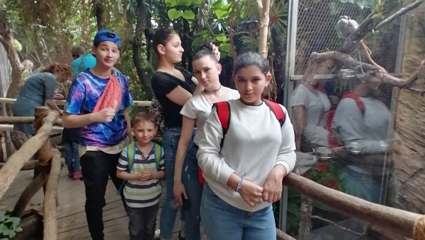 Zoo Hluboká