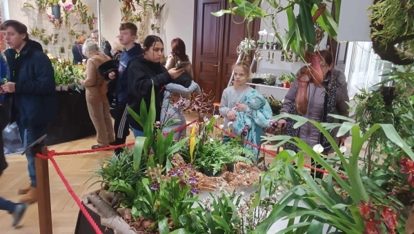 Výstava orchidejí a exotických rostlin, Jihočeské muzeum