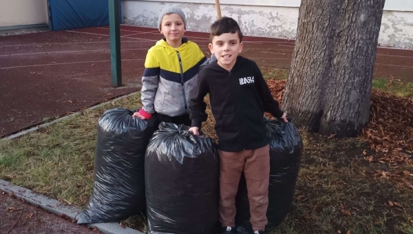 Když padá listí, roste spolupráce