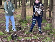 Vyčisti les 3