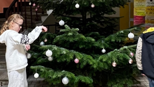 Zdobíme vánoční stromečky