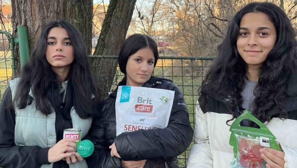 Vánoční venčení psích kamarádů