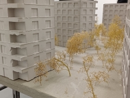 Galerie Domu umění 5