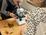 Projektový den V. SP 5