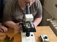 Projektový den V. SP 8