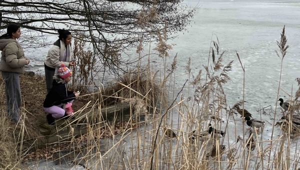 Zimní neděle u Vrbenských rybníků