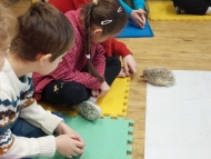 Edukativní program - ježek 5