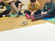 Edukativní program - ježek 6