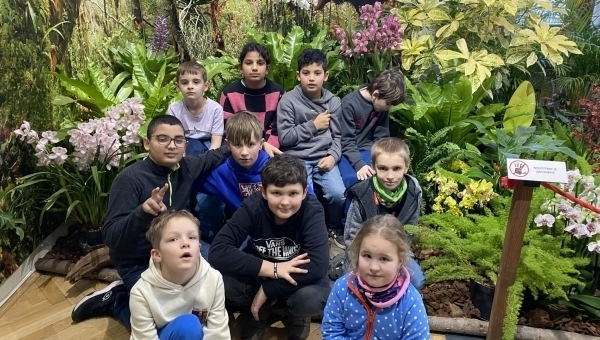 Návštěva Jihočeského muzea: orchideje