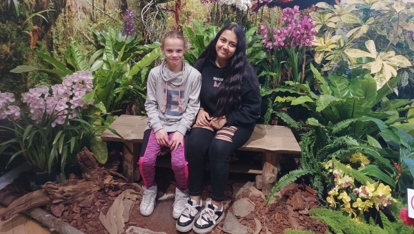 Orchideje, masožravé rostliny, bromélie, tilandsie. Krása motýlích křídel