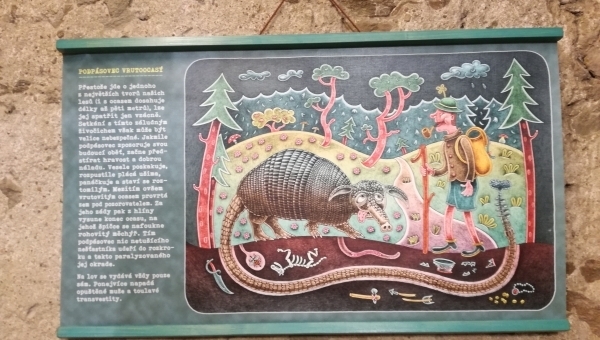 Výstava Bludný pařez