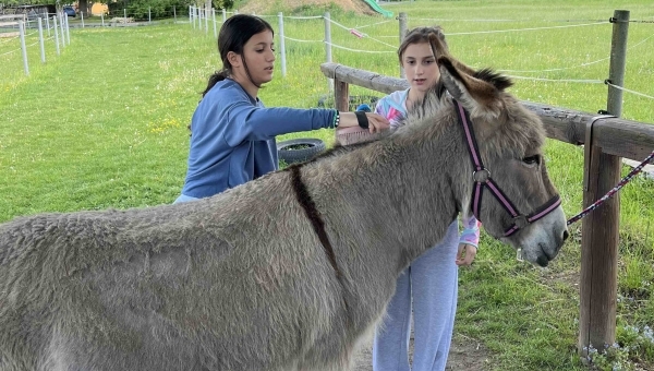 Odpoledne plné zvířat, radosti a přírody