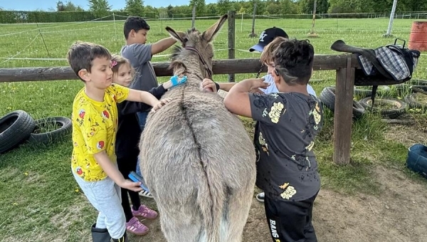 ROK SE ZVÍŘÁTKY V II. SP 