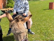 ROK SE ZVÍŘÁTKY V II. SP 15