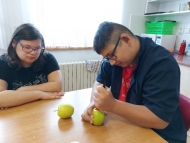 Zbavíme jablka jadřince