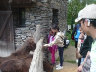 V Zoo Jihlava