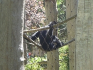 V Zoo Jihlava