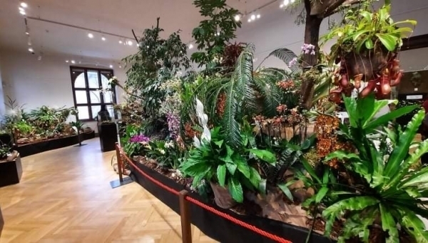 Výstava orchidejí, exotických rostlin a zvířat