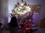 Rozsvícený vánoční stromek