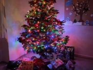 Krásně svítící vánoční stromeček